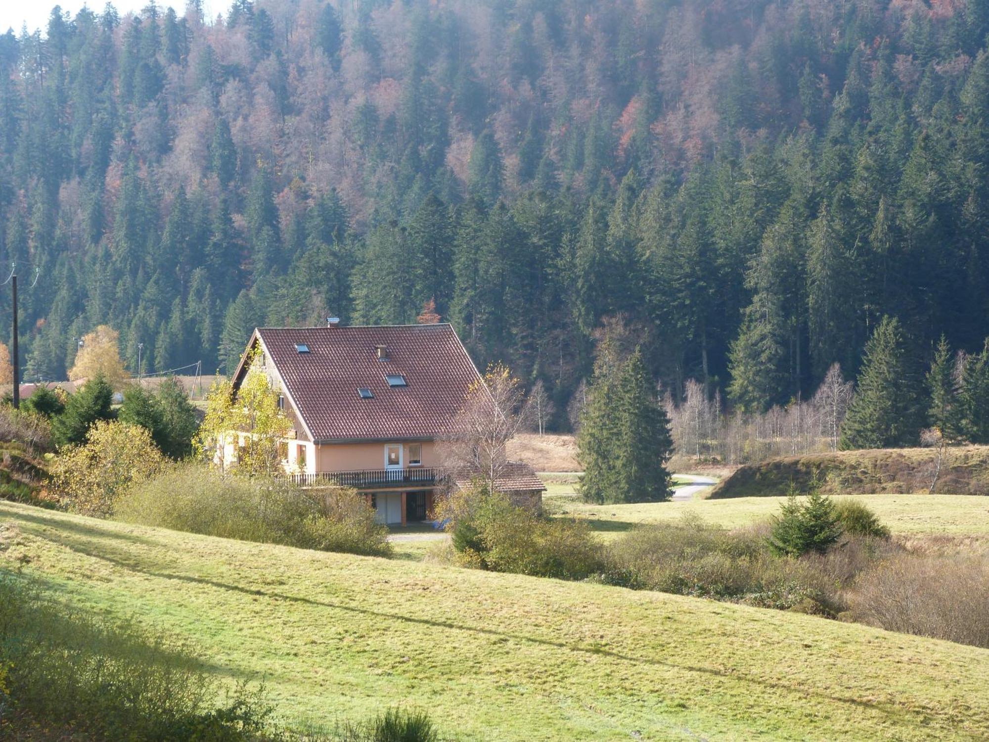 Domaine Des Hauts Viaux La Bresse Exterior photo
