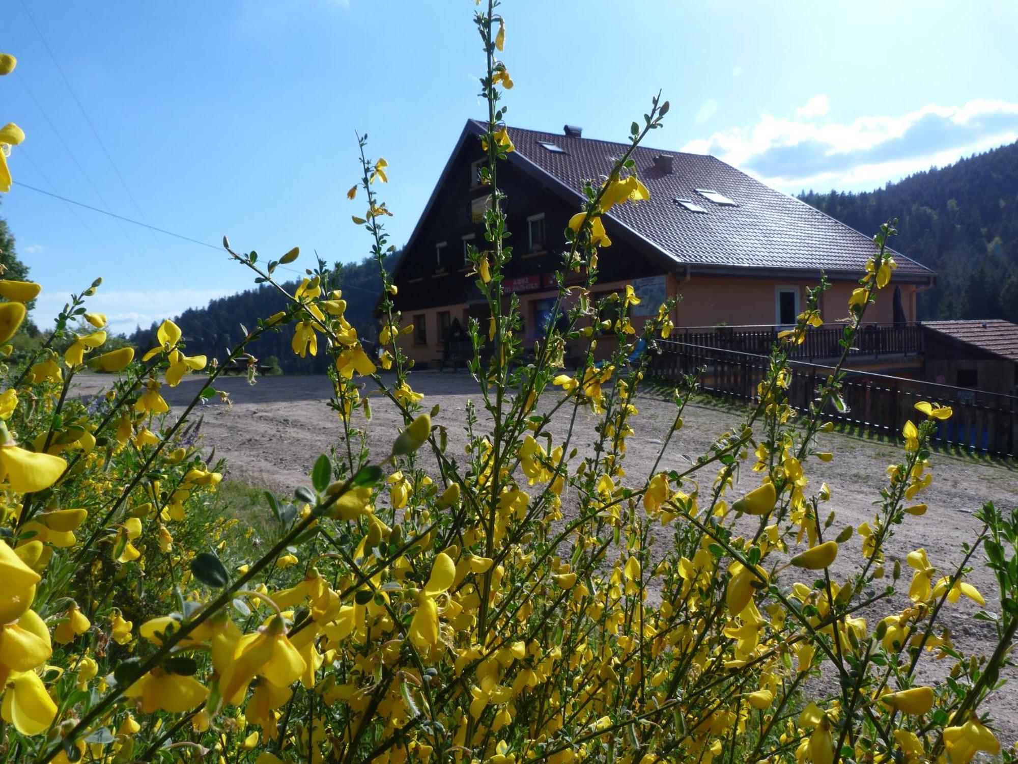 Domaine Des Hauts Viaux La Bresse Exterior photo