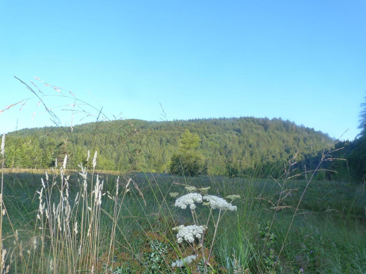 Domaine Des Hauts Viaux La Bresse Exterior photo